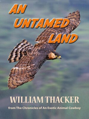 cover image of An Untamed Land